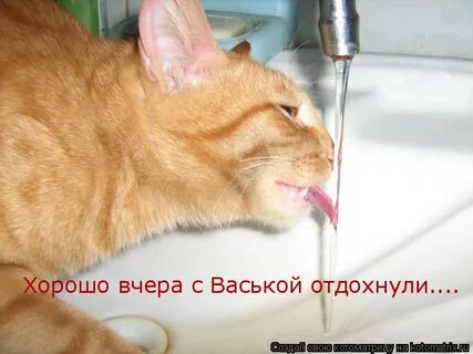 Лучше чем вчера