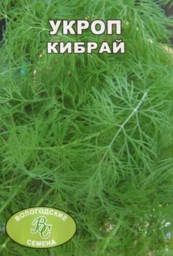 Укроп кибрай. Укроп Кибрай описание. Укроп Кибрай характеристика и описание сорта фото. Укроп Кибрай /СЕДЕК/.