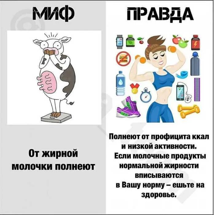 Миф использование. Миф правда. мифы о продуктах. мифы о еде и питании. мифы о пользе молочных продуктов.
