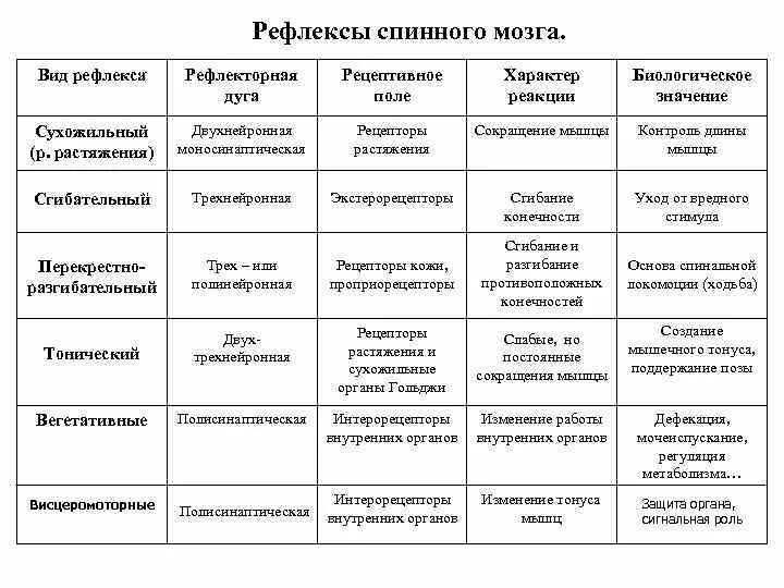 Рефлексы спинного мозга таблица. Рефлексы спинного и головного мозга таблица. Спинальные рефлексы их классификация. Классификация спинальных рефлексов.