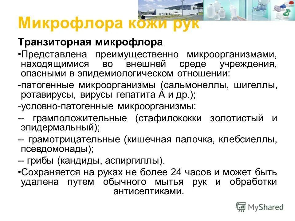 Транзиторная флора представлена. Транзиторная микрофлора может быть представлена. Транзиторная микрофлора может быть представлена. Транзиторная флора может быть представлена. Микрофлора кожи.