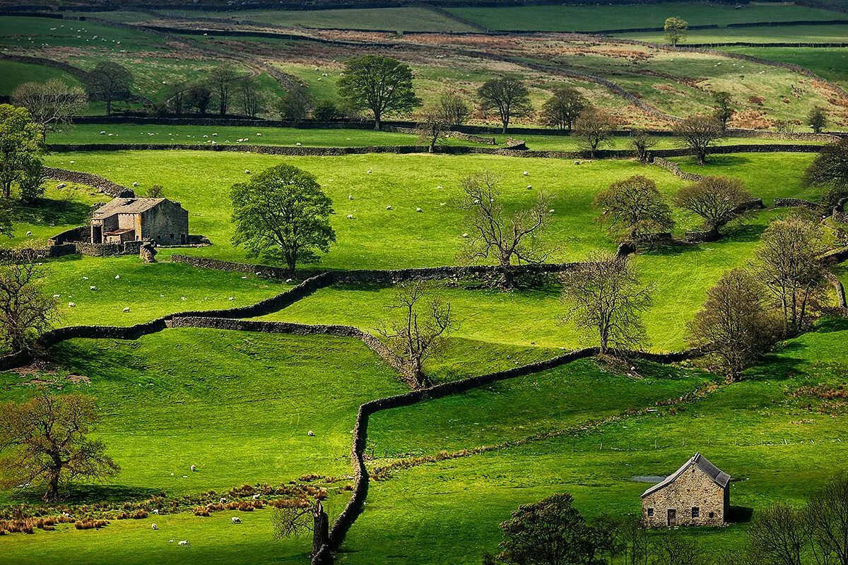 English countryside. Йоркшир-Дейлс. Йоркшир графство. Национальный парк Англии Йоркшир-Дейлс. Шотландия Йоркшир.