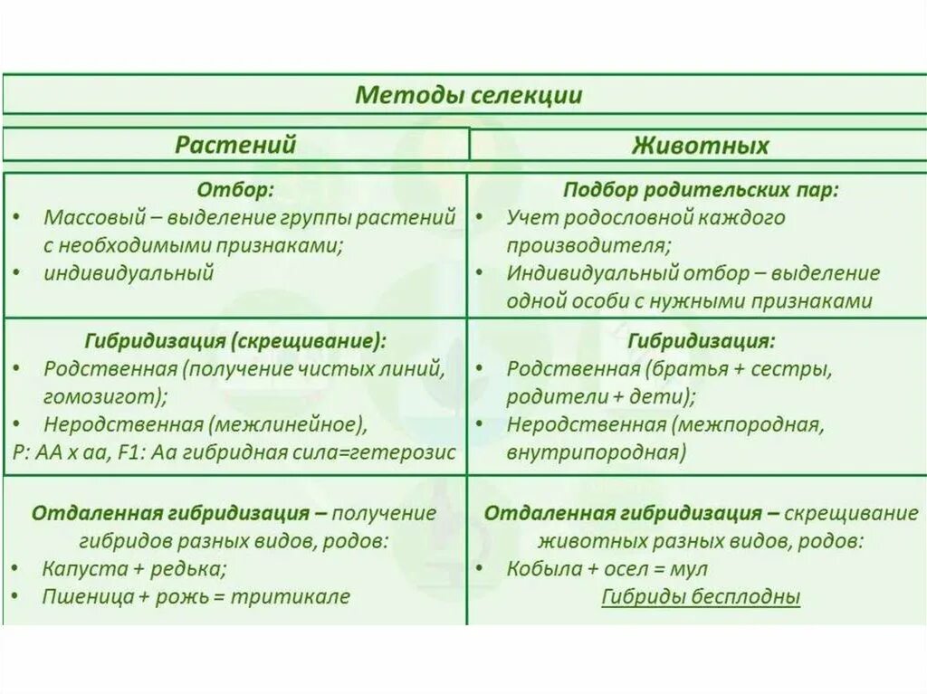 Чем селекция растений отличается от селекции животных. Таблица методы селекции характеристика. Таблица методы селекции 11 класс биология. Метод селекции растений таблица. Методы селекция животных селекция растений таблица.