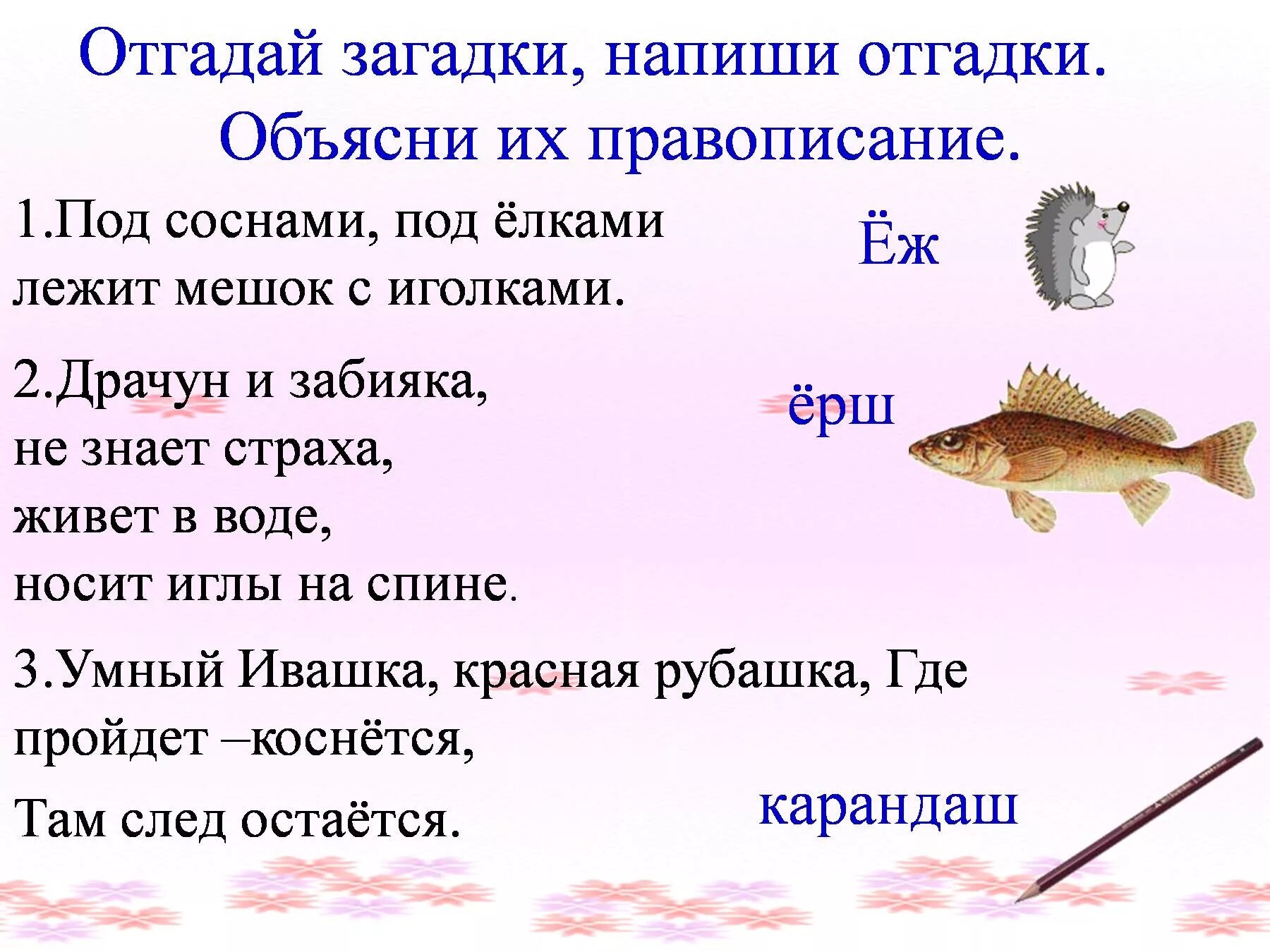 Загадка в воде живет. Отгадай загадку напиши отгадку. Мягкий знак на конце существительных. Мягкий знак на конце шипящих 3 класс. Мягкий знак на конце шипящих существительных 3 класс.