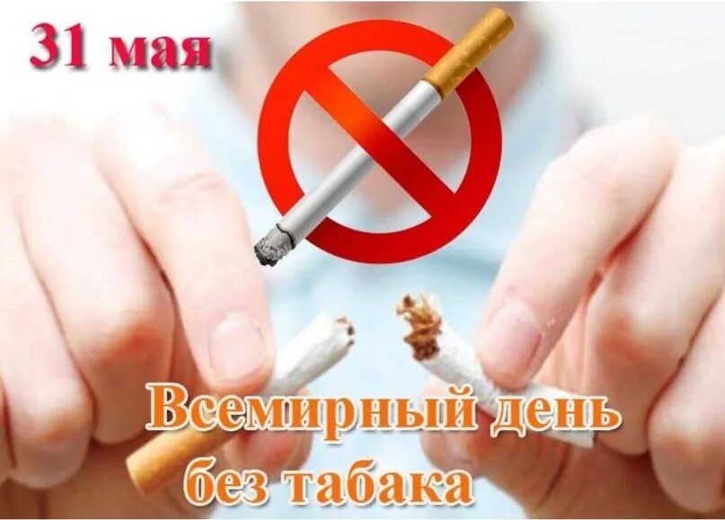 31 мая 73. Всемирный день без табака. всемирный день без таба. все мирныц ень без табка. 31 мая день без табака.