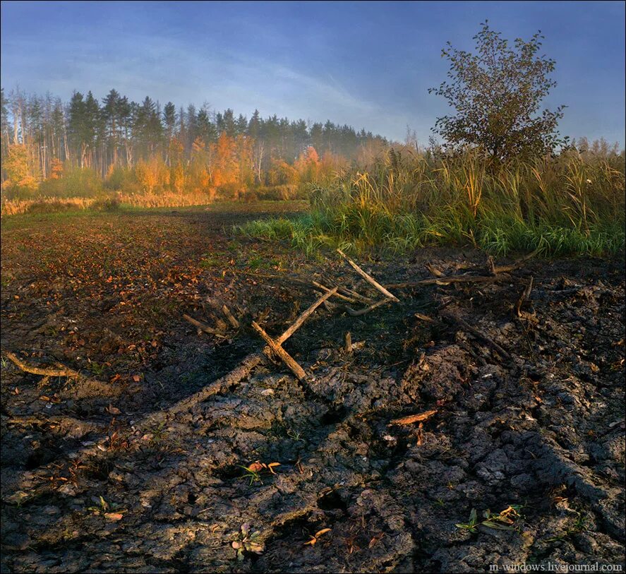 Болото высохло. Высохшее болото. Засохшие болота. Лес кончается внизу высохшие болота мшары. Болото засохло.