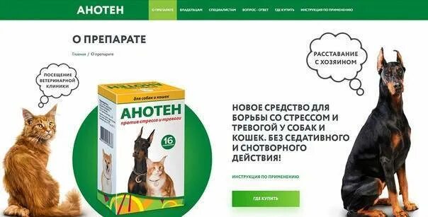 Анотен отзывы. Анотен отзывы. Анотен для кошек. Успокоительное для собак анотен. Анотен порошок для кошек.