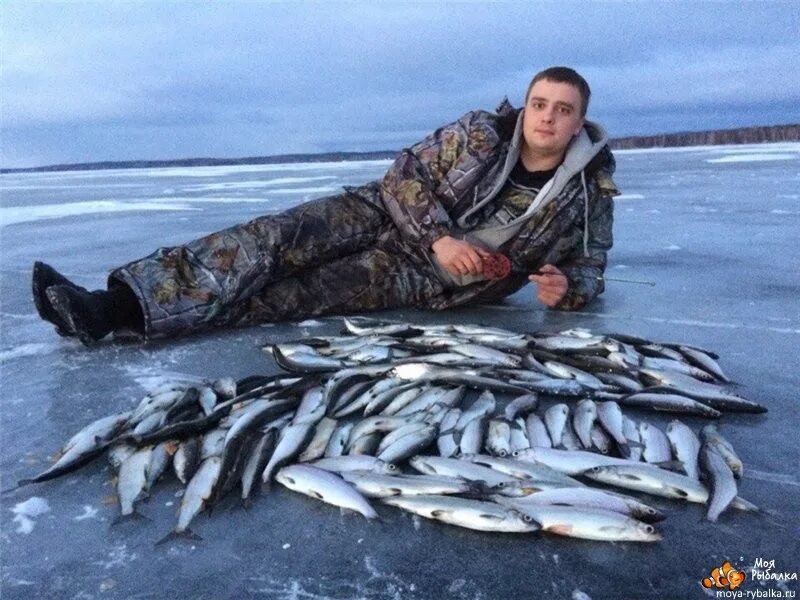 Зимняя рыбалка на озере Увильды. Зимняя рыбалка на оз Увильды. Зимняя рыбалка в Челябинской области. Рыбы озера Тургояк.