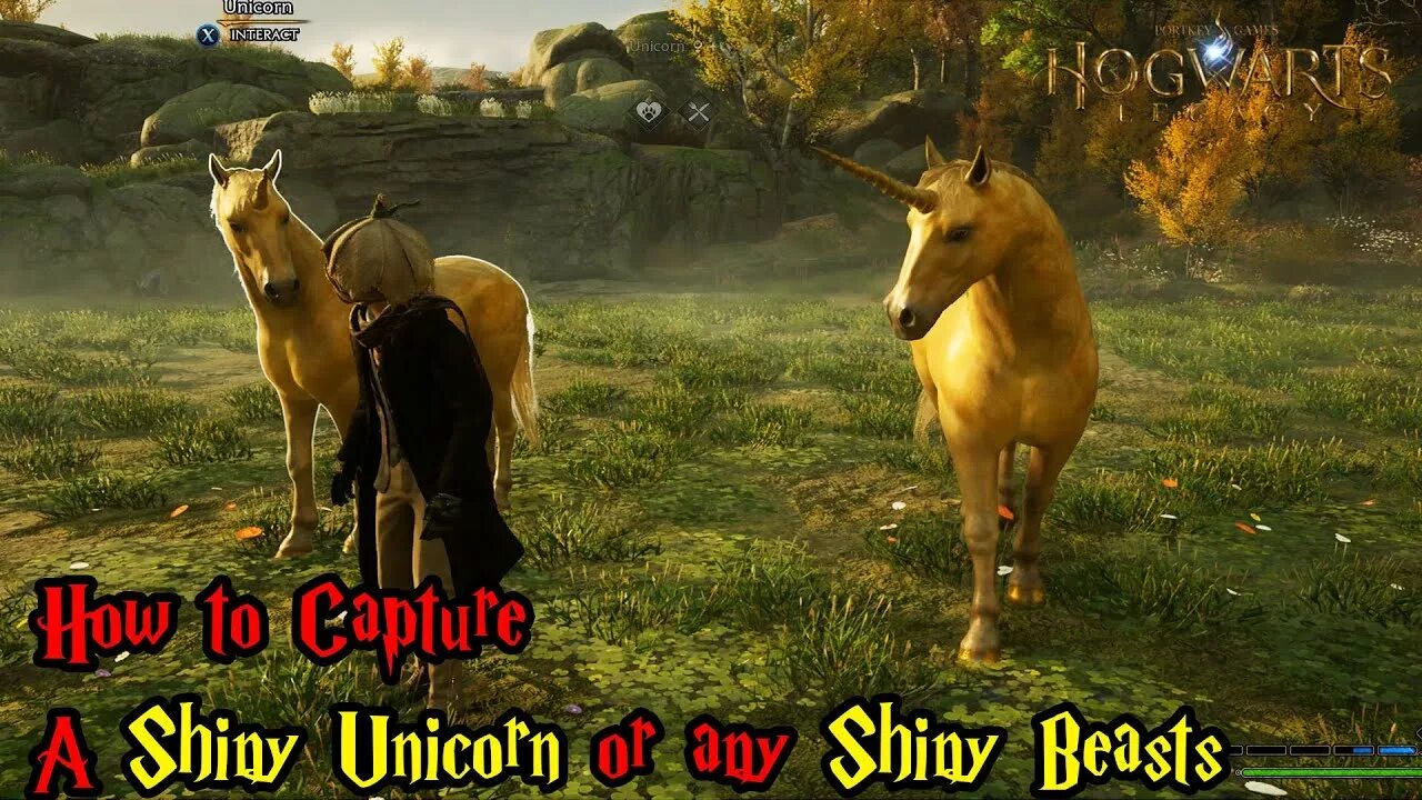 Единорог девочка хогвартс легаси. Логово феникса хогвартс. Хогвартс легаси единорог. Деми маски в хогвартсе карта. Единорог на карте хогвартс.