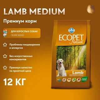 Farmina для собак средних пород с ягненком