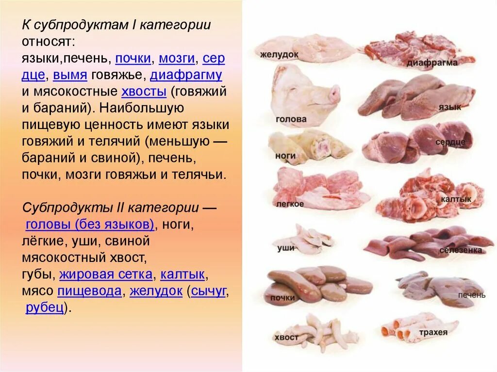 Субпродукты мяса 1 и 2 категории. Субпродукты 1 категории. Что относится к мясным субпродуктам. Субпродукты мясо 1 категории. Субпродукты что