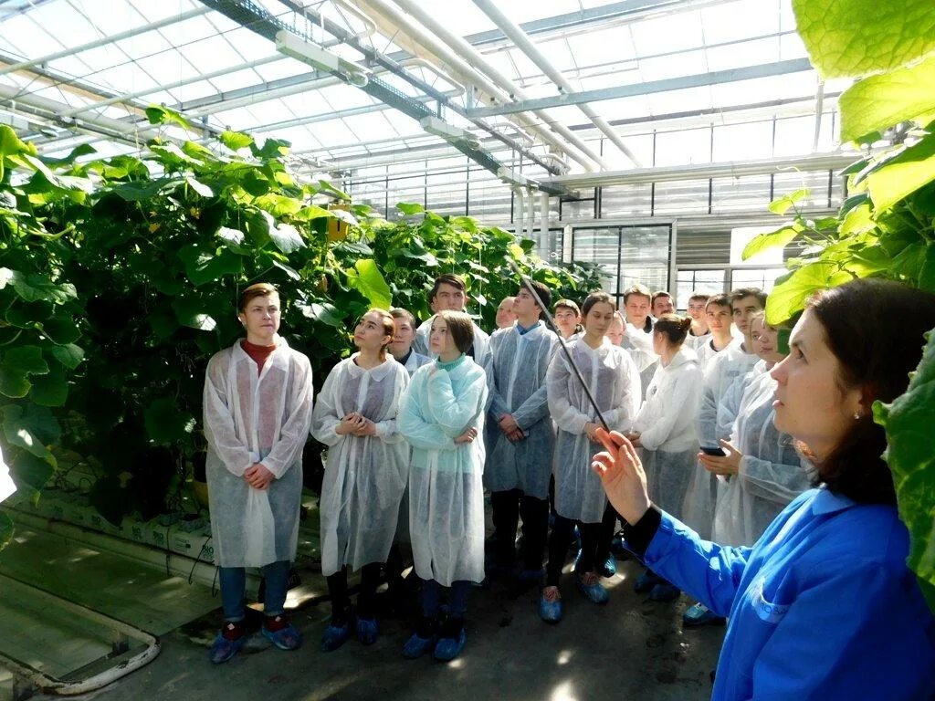 Агро класс. Стенд агрокласс. Стенд агрокласс. Агро класс. Агро класс.