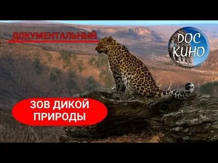 Документальные о природе и животных