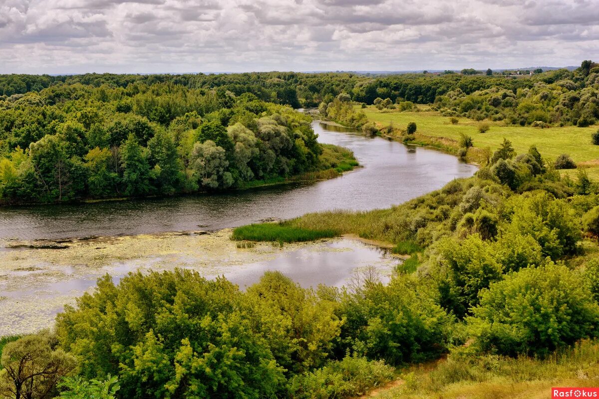 притоки реки сейм