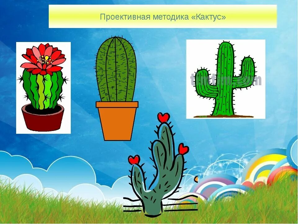 Методика кактус для младших школьников. М а панфилова кактус. методика кактус панфилова. методика кактус м.а.панфиловой. графическая методика кактус м.а панфилова.