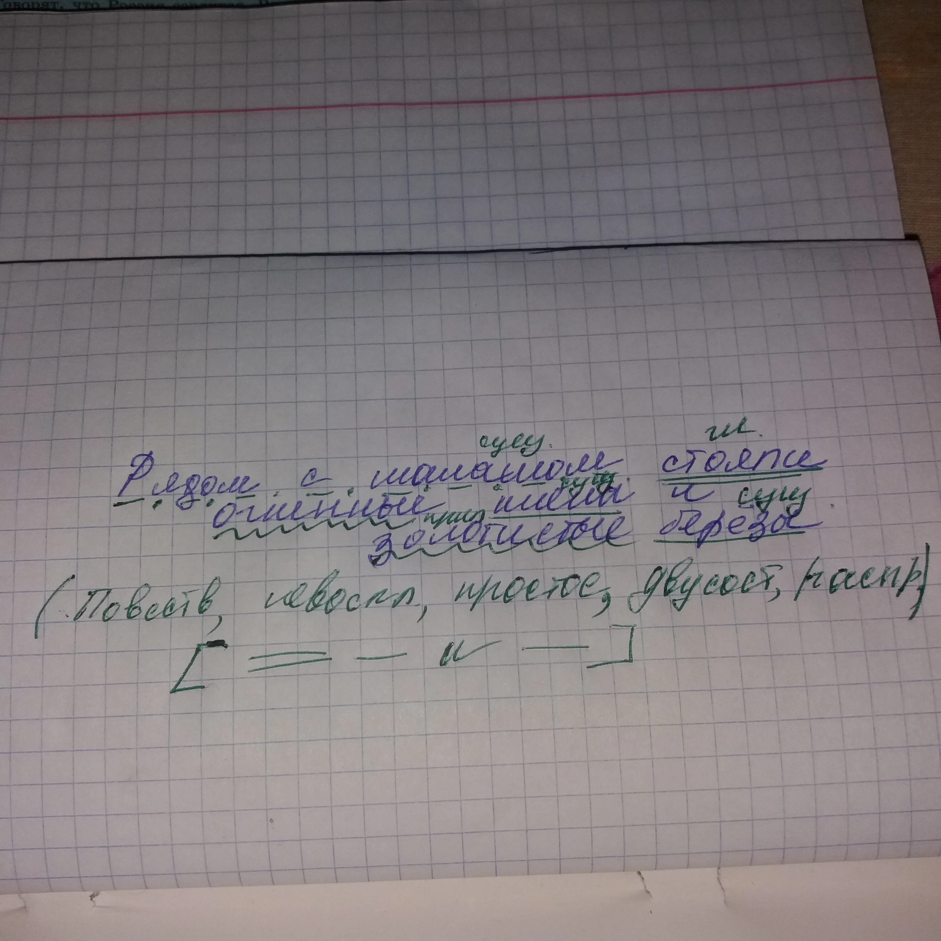 Синтаксический разбор предложения шумят переливаются золотом. Синтаксический разбор береза. Кленов синтаксический разбор. Берёзки синтаксический разбор. Синтаксический разбор предложения.Берёзки.