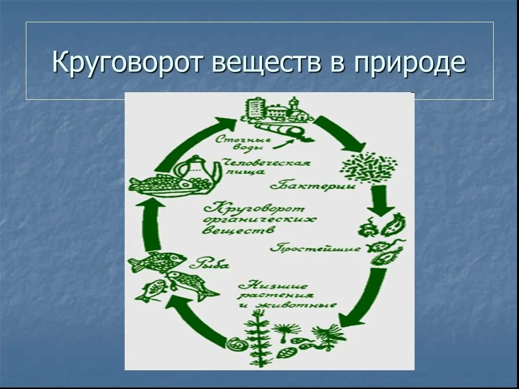 Круговорот веществ в природе 9 класс. Круговорот веществ в природе. Модель круговорота. Схема круговорота веществ. Круговорот веществ в природе схема 3 класс.