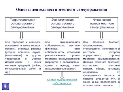 Основы муниципального управления органы местного самоуправления