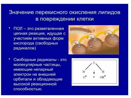 Перекисное окисление липидов биохимия