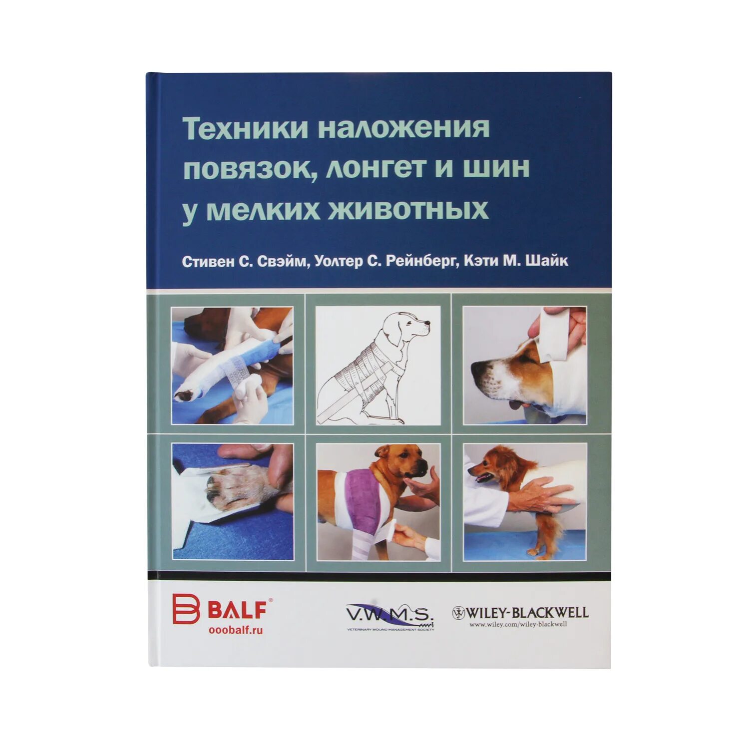 Техника наложения повязок животным. В десмургии процесс наложения повязки называют. Типы наложения повязок на разные участки тела. Бальф.