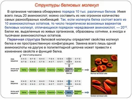 Отторжение белка организмом