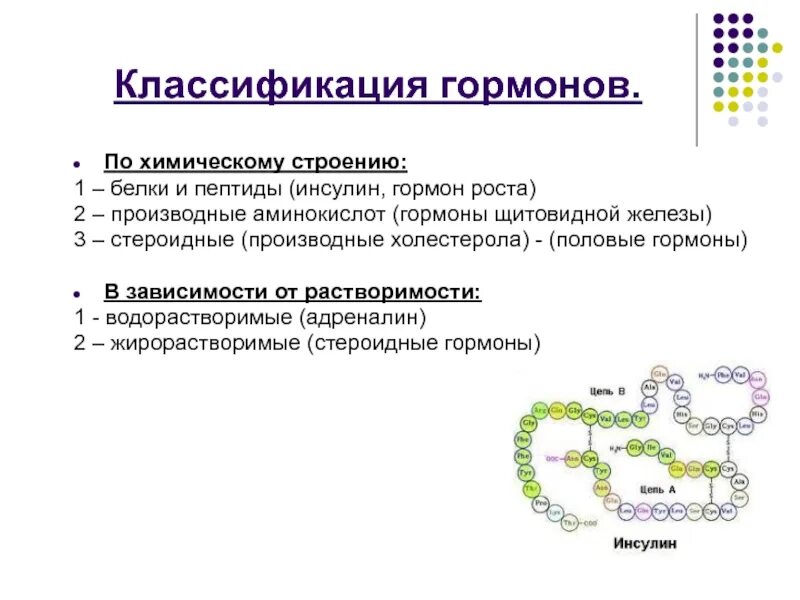 Химическая природа строение инсулина. Инсулин химическое строение. Гормон инсулин структура. Гормоны классифицируются по химическому строению. Инсулин и соматотропин