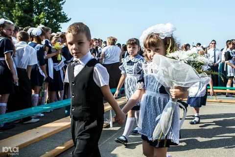 Система образования школ краснодарского края