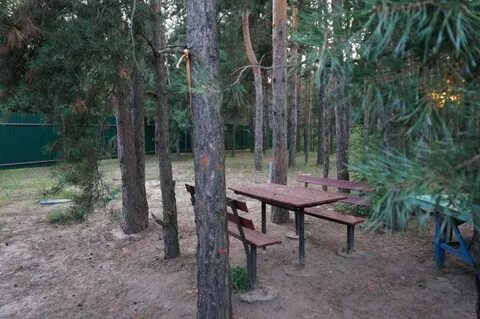 Турбаза борисоглебск