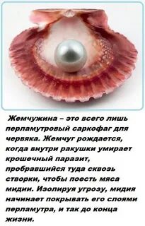 Факты о самой