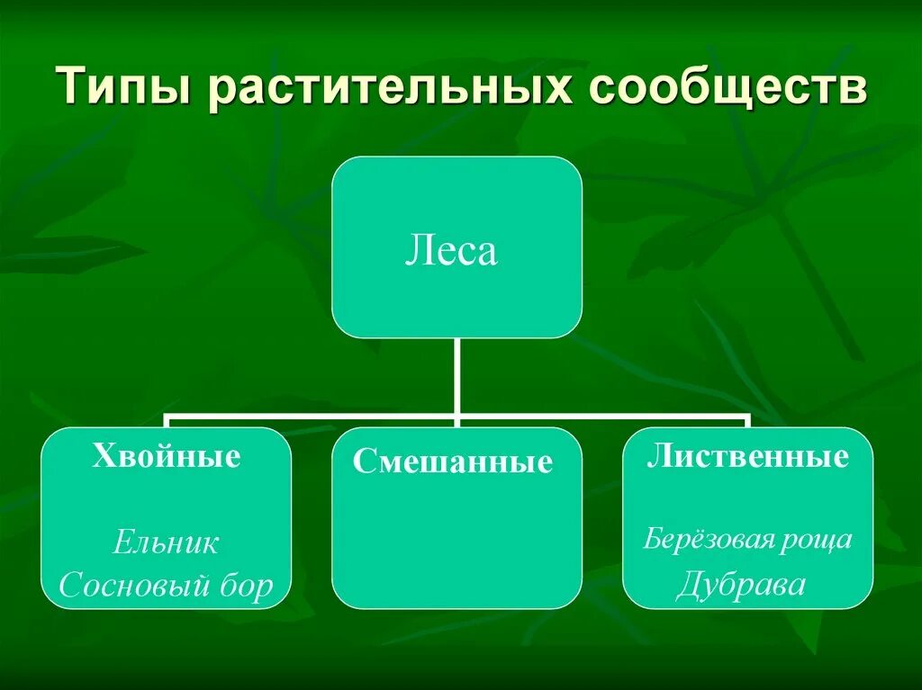 Сообщение о типах растений