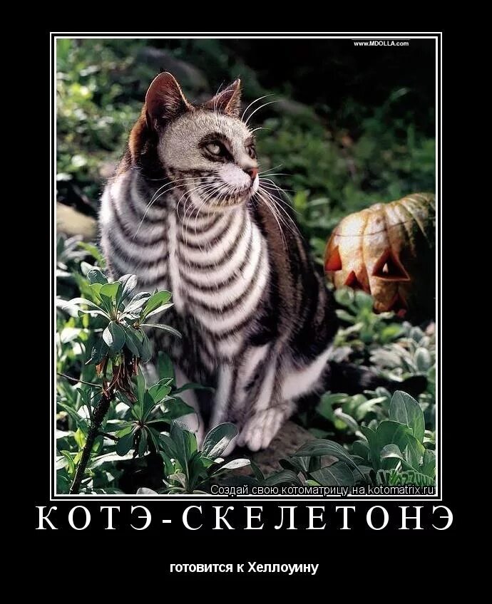 Чилиться это