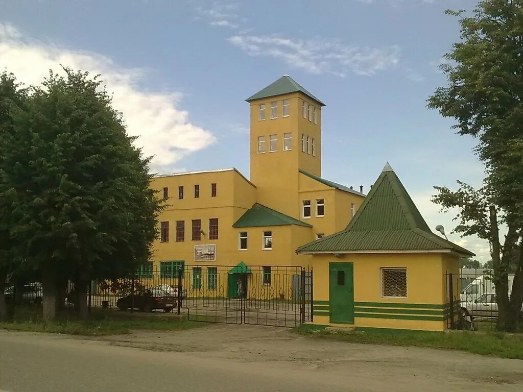 Погода г родники. Город Родники Ивановская область. Ильинская Церковь город Родники Ивановской области. Родники (город). Парк Победы Родники Ивановская.