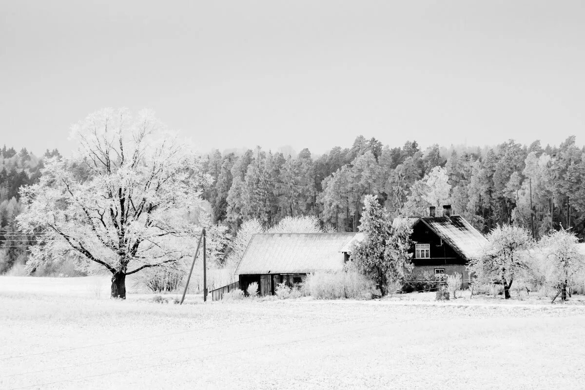 Деревня белая. Деревня черно белая. Зимний домик. Зимняя деревушка.