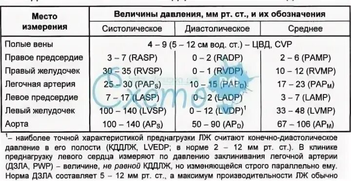 Градиент легочной артерии норма. Узи сердца давление в легочной артерии норма. легочная гипертензия норма давления в легочной артерии. градиент давления на легочной артерии в норме. диаметр легочной артерии в норме.