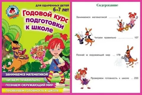 Годовой курс подготовки к школе