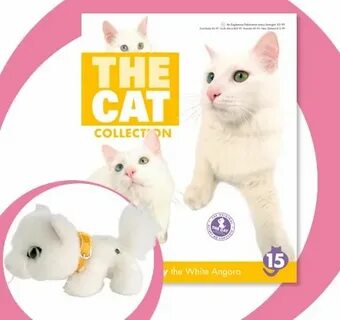 The cat collection