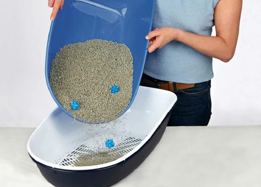 Наполнитель для кошачьего туалета в лотке с решеткой. Лоток для мейн куна большой с решеткой. Кошачий лоток в ванной. Кошачий лоток для комкующегося наполнителя. Кошка в лотке с древесным наполнителем.