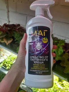 Маг препарат