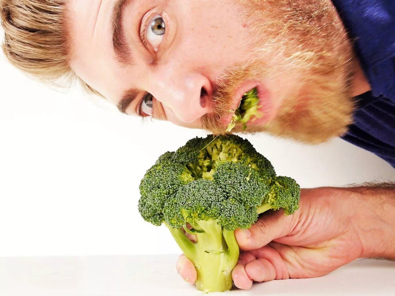Почему люди овощи. Вегетарианство. Мужчина с брокколи. Сыроедение брокколи. Мужчина с овощами.