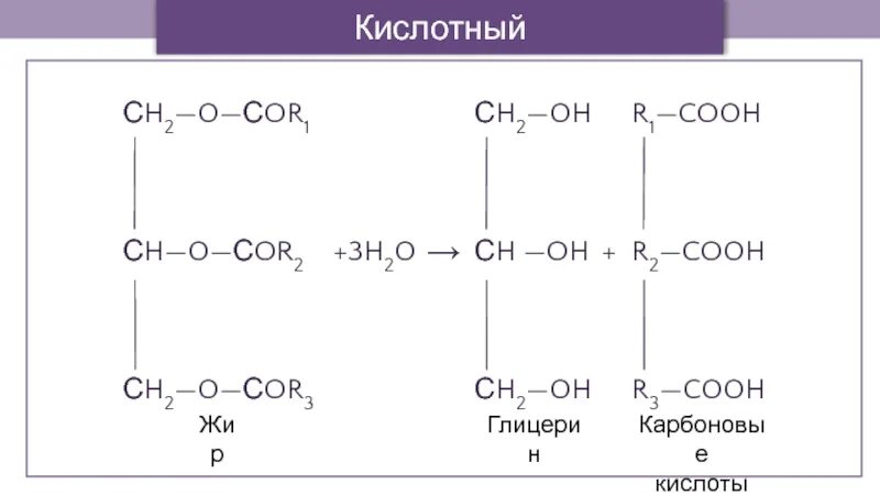 Презентация гидролиз жиров. Гидролиза тристеарина жира. Кислотный гидролиз тристеарина. Глицерина щелочным гидролизом тристеарина. Гидролиз тристеарата глицерина.