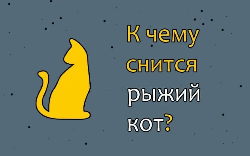 Котик приснилось. К чему снятся коты женщине. Сонник котик. Видеть во сне котят. К чему снятся коты во сне мужчине