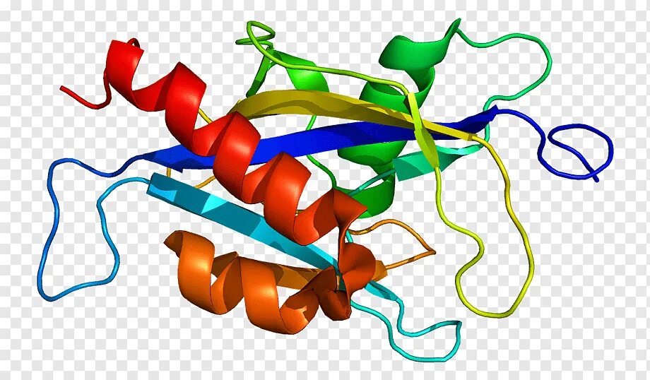 Ген белок фермент. Гидролазы ферменты. Нуклеозиддифосфаткиназа. Гидролазы фото. Гидролазы реакции.