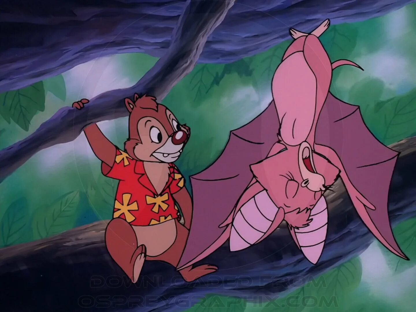 Чип и летучая мышь. Foxglove чип и дейл. фоксглав из чип и дейл. rescue rangers foxglove. летучая мышь из чип и дейл.