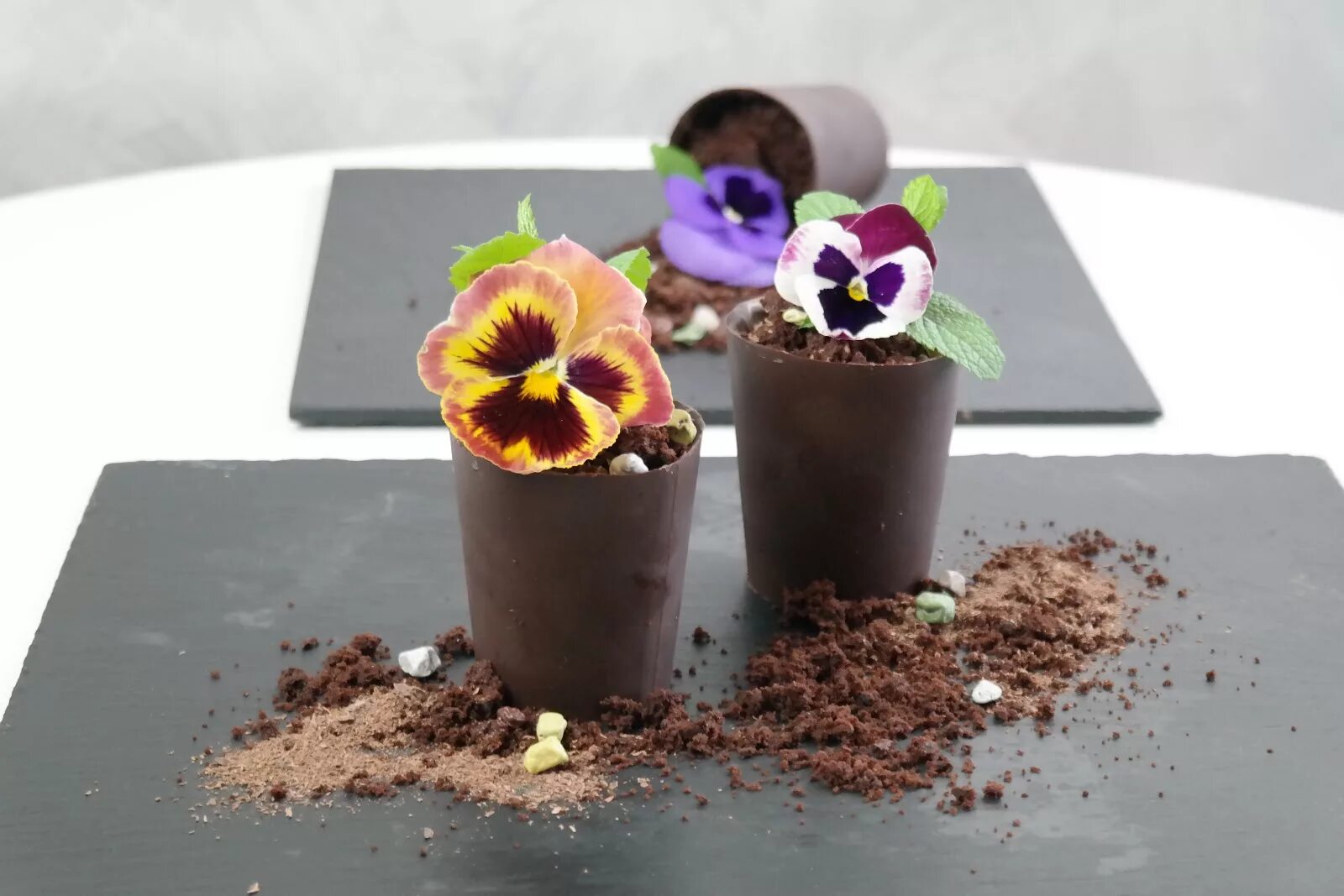 шоколадные горшочки. пирожное мамин цветок. шоколадные горшочки. цветок в шоколадном горшке. цветочный горшок из шоколада.