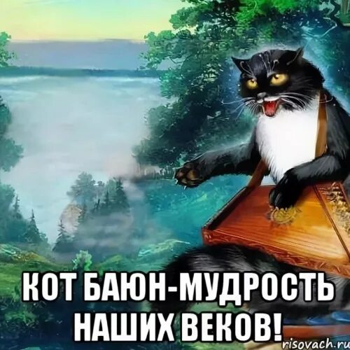 Кот баюн какую песню играет. Мудрость кота. кот ученый мем. кот мудрец. кот баюн на аву.