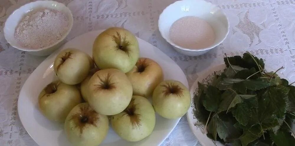 Какие яблоки мочат на зиму. Антоновка моченая. моченые яблоки семеренко. яблоки сорта богатырь моченые. моченые яблоки на зиму.