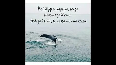 Давай начнем с самого начала