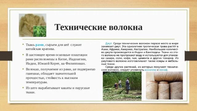 Лен-долгунец волокно. Техническое волокно. Минеральные волокна. Техническое волокно. Техническое волокно.