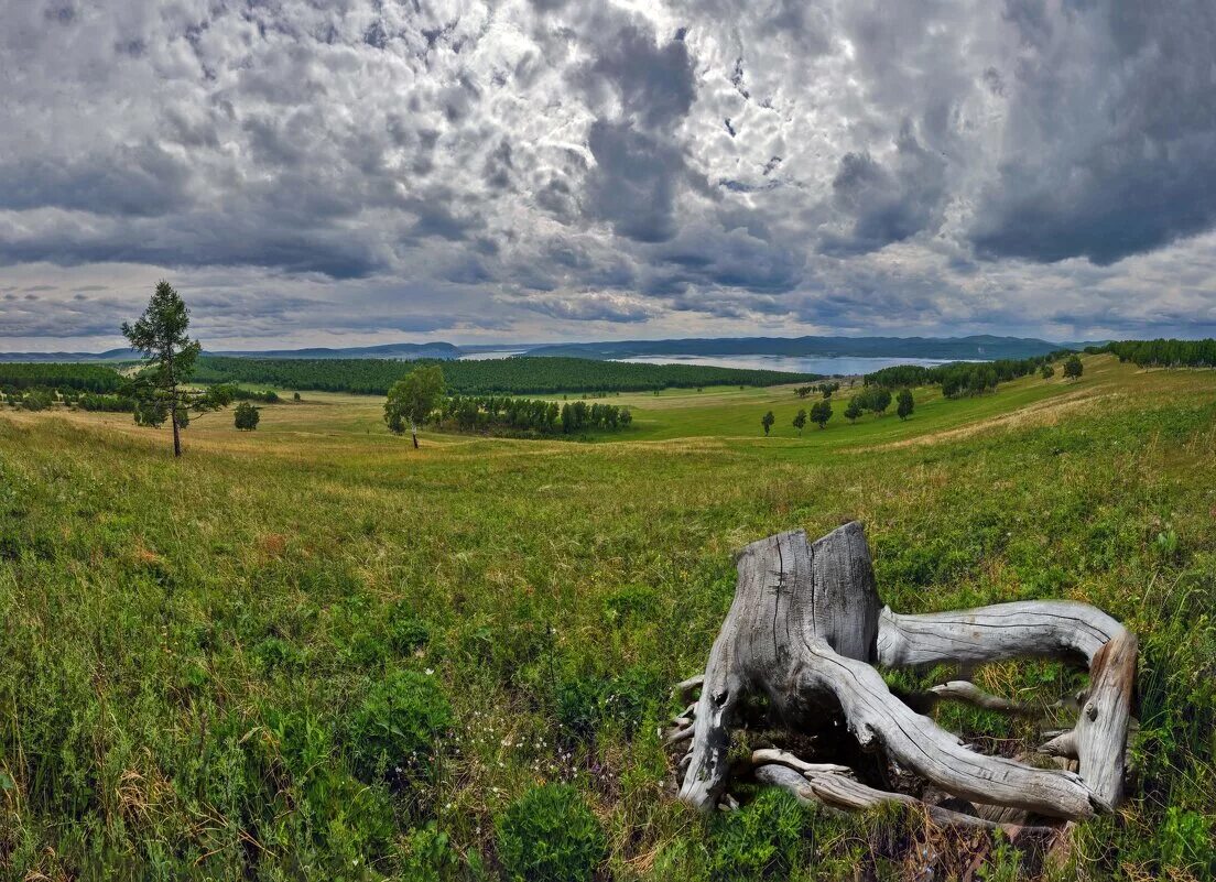просторы сибири песня