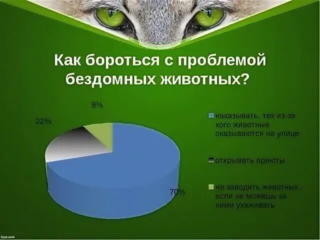 Как решить проблему с бездомными. Как решить проблему с бездомными